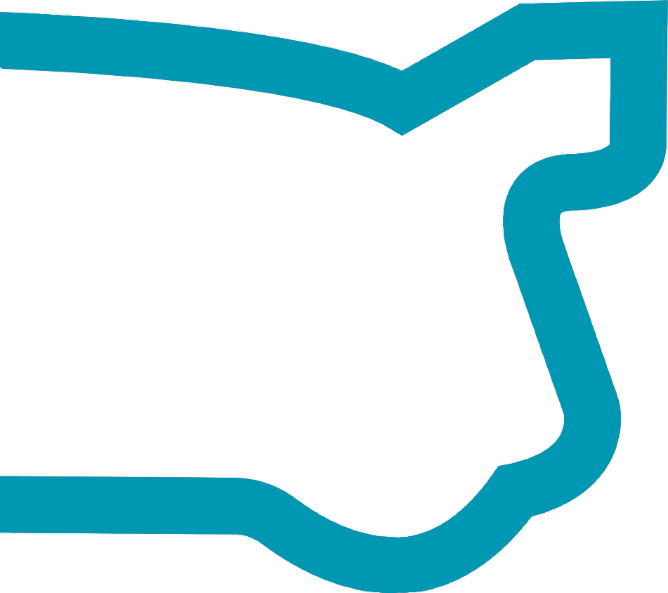 Powerslide Junior World Rally Team